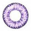 Nudy Violet CH-621 Circle Lenses