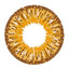 Circle lens design detail on GEO Twins Honey YH304.