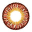Design detail on GEO Twins Brown YH306 circle lens.