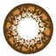 Cafe Mimi Cappuccino Brown WMM-600