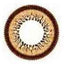 Honey Wing Brown OL-104 (Rx)