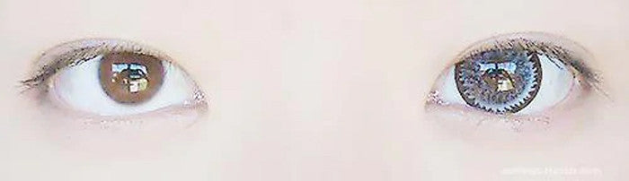 Barbie Nudy Grey Circle Lenses
