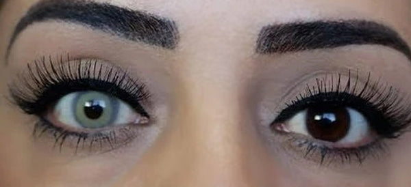 Universe Gray opaque circle colored contact lenses over dark brown eyes