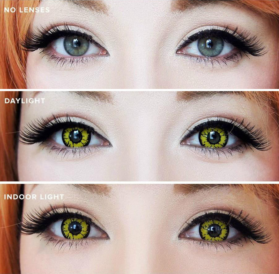 Black Wolf Yellow Circle Lenses | 1 Year