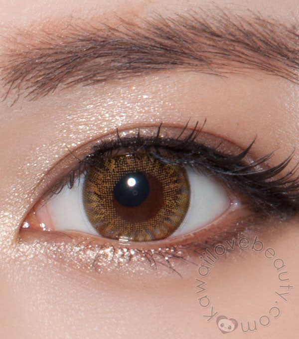 Closeup on Charm 4 Tone (Vassen Rainbow) Brown colored contact lenses by Beuberry
