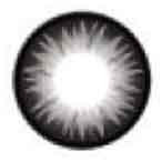 Bella Grey BS-205 circle lenses by Geo Medical