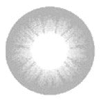 Barbie Bubble Grey Circle Lenses