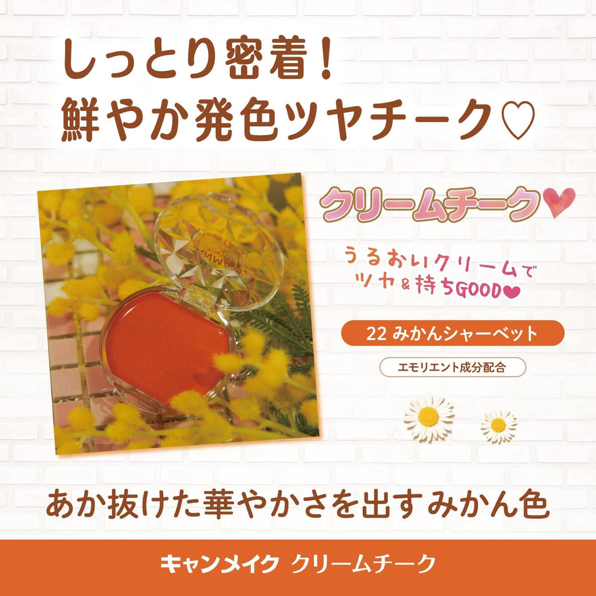 Canmake Tokyo Cream Cheek Orange Sorbet