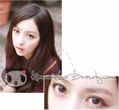 Magic Circle Black Brown BC-102