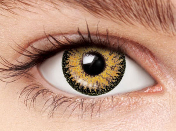 Design detail on Nudy 3 Tone brown circle lenses.