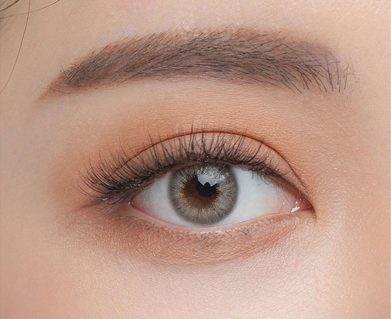 Havana Gray Colored Lenses | 1 Year Secondary image
