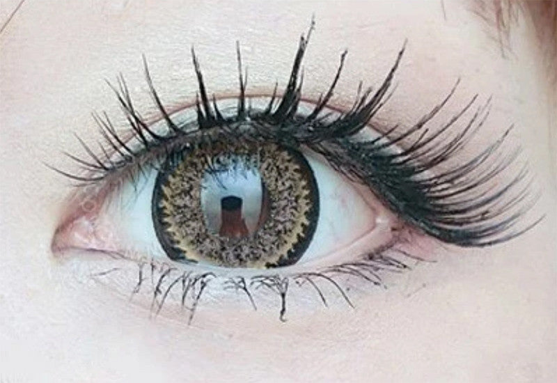 Dolly Eye Celeb Super Nudy Brown Circle Lenses Secondary image