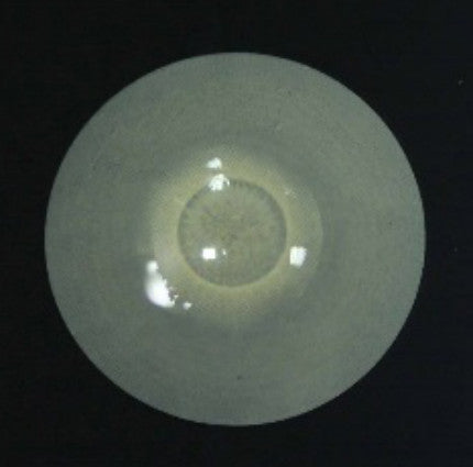 zombie 22mm sclera special effects contact lens