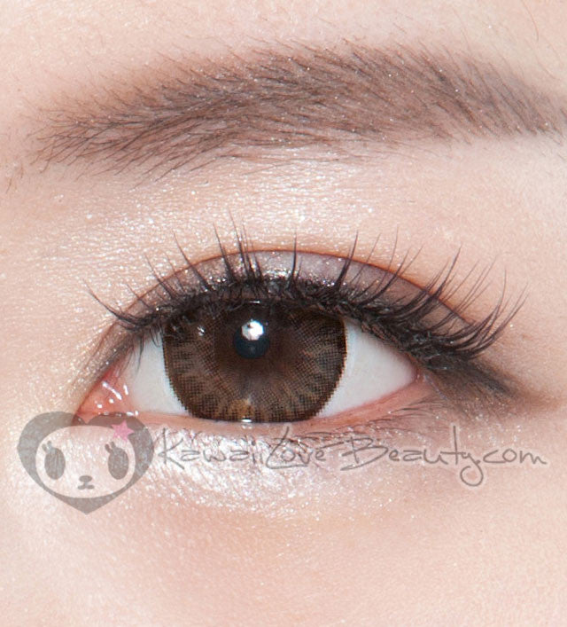 BS-204 Bella Brown circle lens closeup on brown eyes.