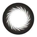 Magic Color Black CK-108 Circle Lenses