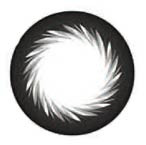 Magic Color Black CK-108 Circle Lenses