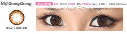 Big Grang Grang Brown WHC-244