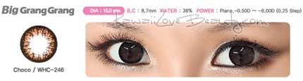 Big Grang Grang Choco Brown WHC-246