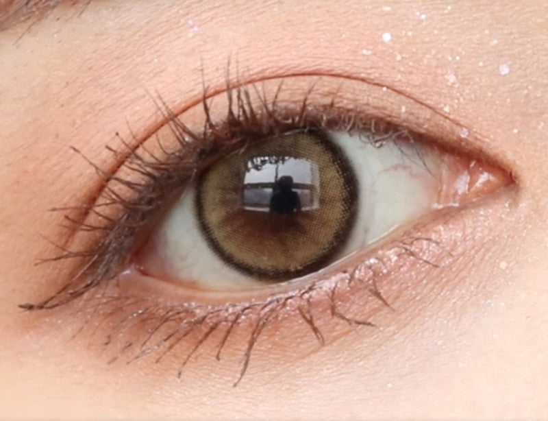 Biella Brown Circle Lenses | Yearly