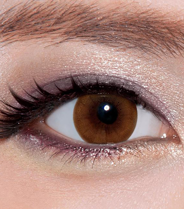 Legato Brown Circle Lenses