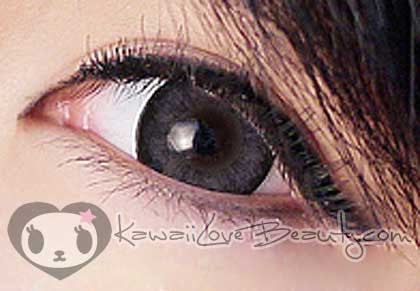 Lavender Grey WFL-A55 (Rx)