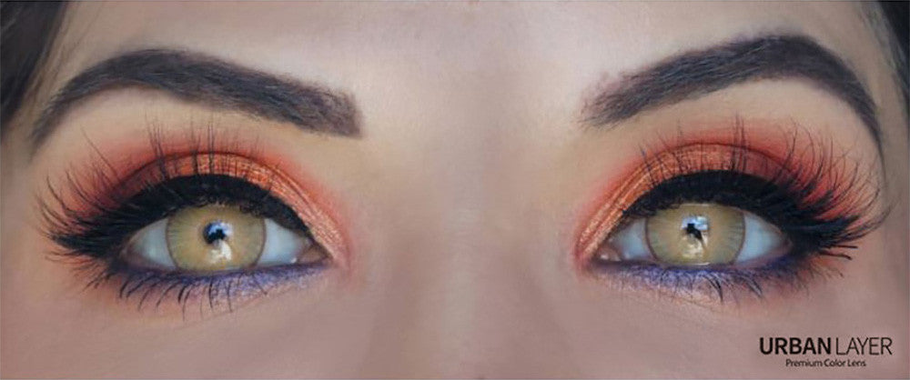 New York Brown Circle Lenses | 1 Year