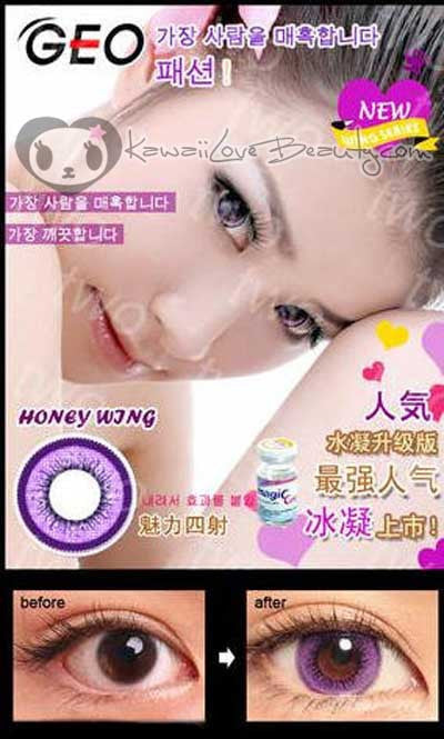 Wing Violet OL-101 Circle Lenses