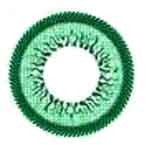 Wing Green OL-103 Circle Lenses