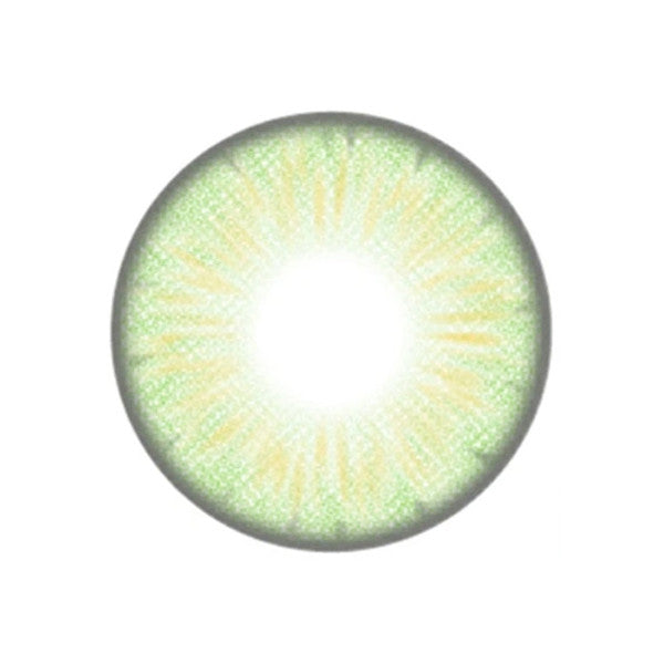 Orlando Emerald Circle Lenses | Yearly