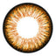 Starmish Brown XKP-304 (Rx)