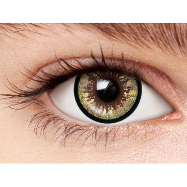 Sweety Rainbow Brown circle lenses.