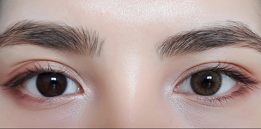 Havana Brown Colored Lenses | 1 Year