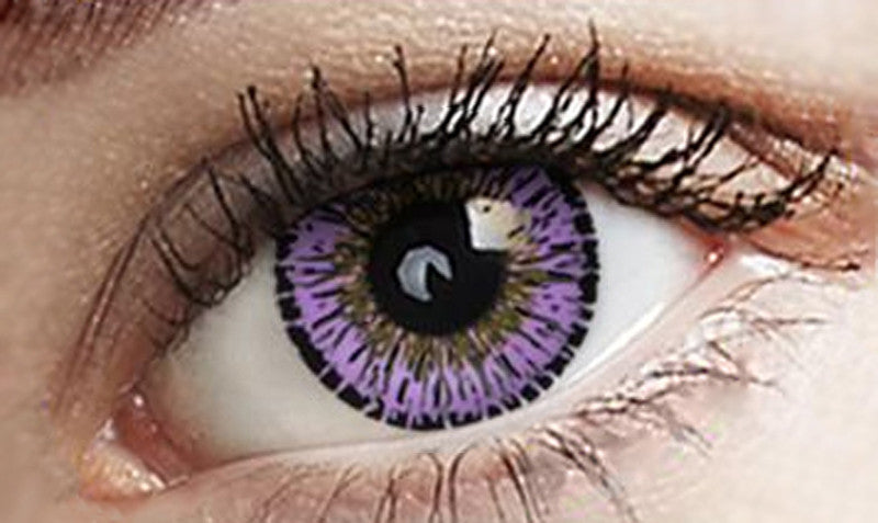 Eye to Eye Violet Circle Lenses
