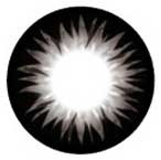 Xtra Bella Black WCK-112 Circle Lenses