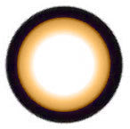 Xtra Sakura Brown WI-A24 (Rx)