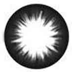 Super Magic Circle XCK-105 (Rx) Main image