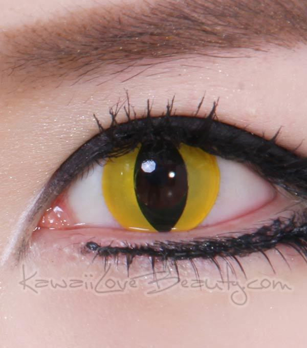 Crazy Yellow Cat color contacts lenses