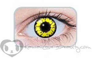 Black Wolf Yellow Circle Lenses | 1 Year