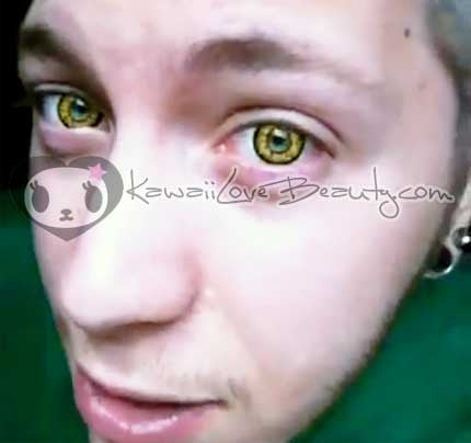 Black Wolf Yellow Circle Lenses | 1 Year